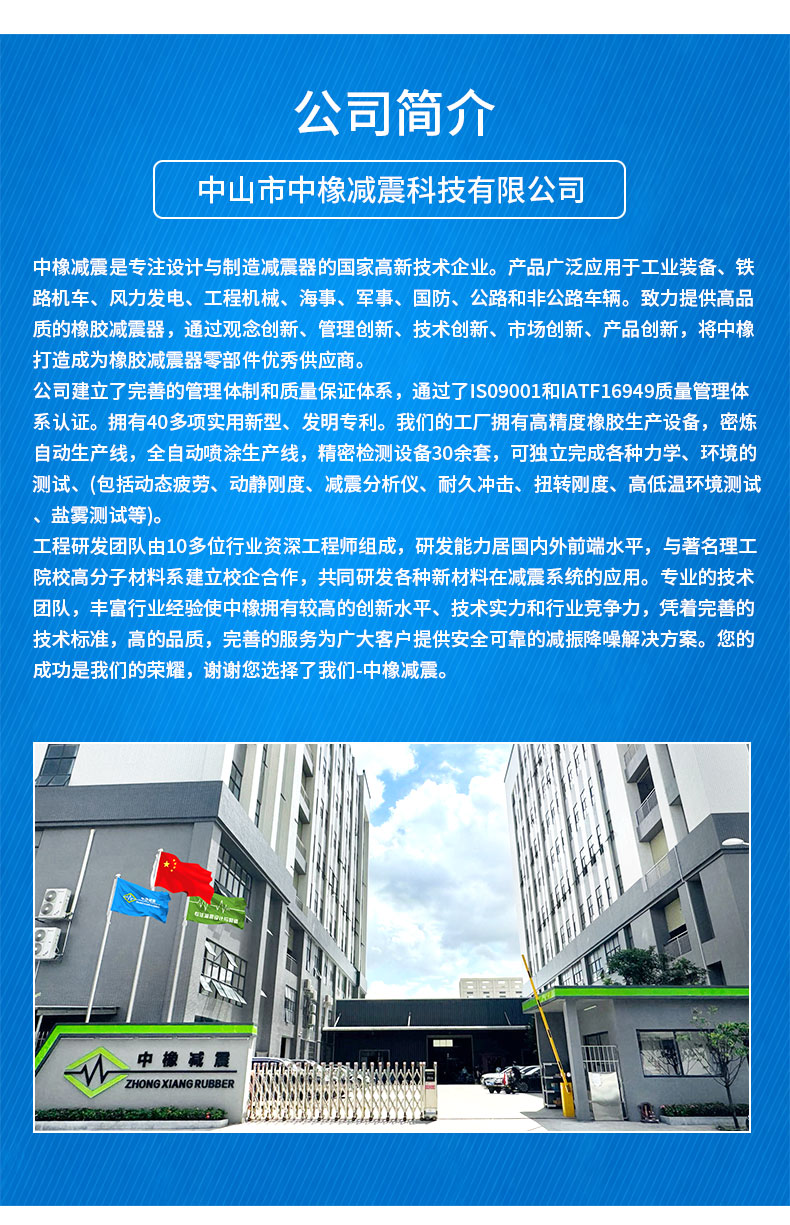 VE减震器详情5